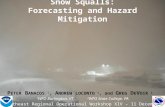 Snow Squalls: Forecasting and Hazard Mitigation P ETER B ANACOS 1, A NDREW LOCONTO 1, and G REG D E V OIR 2 1 WFO Burlington, VT 2 WFO State College, PA.