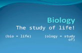 The study of life! (bio = life) (ology = study of)