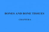BONES AND BONE TISSUES CHAPTER 6. Introduction One of the most remarkable tissues of the human body Far from inert and lifeless, bones are living, dynamic.