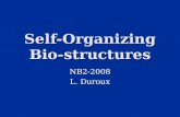 Self-Organizing Bio- structures NB2-2008 L. Duroux.