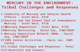 MERCURY IN THE ENVIRONMENT: Tribal Challenges and Responses I.Chemistry of Mercury and Adverse Health Effects – Scott Weir, KTIK II.Sources and the Global.