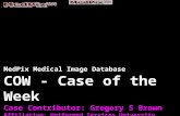 MedPix Medical Image Database COW - Case of the Week Case Contributor: Gregory S Brown Affiliation: Uniformed Services University.