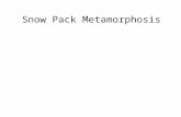 Snow Pack Metamorphosis. M. Williams, CU Boulder Diurnal Temperature Profile in Snowpack.