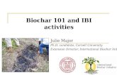 Julie Major Ph.D. candidate, Cornell University Extension Director, International Biochar Initiative Biochar 101 and IBI activities.