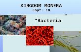 KINGDOM MONERA Chpt. 18 “Bacteria”. Kingdom Monera  Commonly called bacteria  All monerans are unicellular  All monerans are prokaryotes Prokaryotes:
