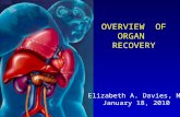 OVERVIEW OF ORGAN RECOVERY Elizabeth A. Davies, MD January 18, 2010.