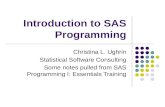 Introduction to SAS Programming Christina L. Ughrin Statistical Software Consulting Some notes pulled from SAS Programming I: Essentials Training.