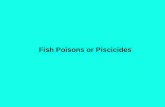 Fish Poisons or Piscicides. David S. Seigler Department of Plant Biology University of Illinois Urbana, Illinois 61801 USA seigler@life.illinois.edu .