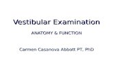 Vestibular Examination ANATOMY & FUNCTION Carmen Casanova Abbott PT, PhD.