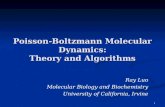 1 Poisson-Boltzmann Molecular Dynamics: Theory and Algorithms Ray Luo Molecular Biology and Biochemistry University of California, Irvine.
