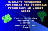 Nutrient Management Strategies for Vegetable Production in Desert Soils Charles A. Sanchez Professor and Director Yuma Agricultural Center.