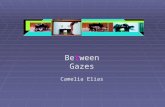 Between Gazes Camelia Elias. Source: Chris Beasley: What is Feminism, 1999.