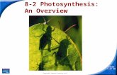 Slide 1 of 28 Copyright Pearson Prentice Hall 8-2 Photosynthesis: An Overview.