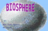 BY: Mrs.Indu Sharma Ms.Amrit * Locate their position in Biosphere * Differentiate between Biotic and Abiotic components of Biosphere * Trace out interactions.