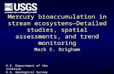 Mercury bioaccumulation in stream ecosystems—Detailed studies, spatial assessments, and trend monitoring Mark E. Brigham U.S. Department of the Interior.
