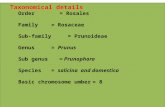 Taxonomical details Order= Rosales Family= Rosaceae Sub-family= Prunoideae Genus= Prunus Sub genus= Prunophora Species= salicina and domestica Basic chromosome.