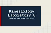 Kinesiology Laboratory 8 Posture and Gait Analysis.