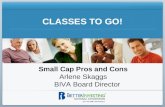 CLASSES TO GO! Small Cap Pros and Cons Arlene Skaggs BIVA Board Director.