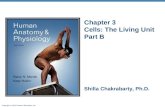 Copyright © 2010 Pearson Education, Inc. Chapter 3 Cells: The Living Unit Part B Shilla Chakrabarty, Ph.D.