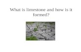 What is limestone and how is it formed? How is Limestone formed?