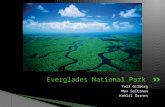 Tali Gilberg Max Saltzman Kahlil Garnes Everglades National Park.
