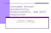 Consumer Action: Automaticity, Purposiveness, and Self-Regulation Richard P. Bagozzi University of Michigan.