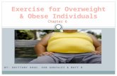 BY: BRITTANY HOGH, DAN GONZALEZ & MATT H. Overweight: an excess of weight relative to height or BMI of 25-29.9 Obese: excess body fat or a BMI of 30 or.