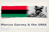 Critical Race Relations Marcus Garvey & the UNIA By: Lara Cornelius.