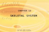 Copyright 2003 by Mosby, Inc. All rights reserved. CHAPTER 13 SKELETAL SYSTEM.
