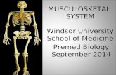 MUSCULOSKETAL SYSTEM Windsor University School of Medicine Premed Biology September 2014.