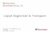 Lipid Digestion & Transport Copyright © 1999-2008 by Joyce J. Diwan. All rights reserved. Molecular Biochemistry II.