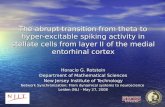 The abrupt transition from theta to hyper- excitable spiking activity in stellate cells from layer II of the medial entorhinal cortex Horacio G. Rotstein.