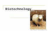 Biotechnology repairstemcell.files.wordpress.com Dolly.