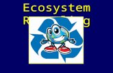 Ecosystem Recycling. Essential Standard 2.1 Analyze the interdependence of living organisms within their environments Clarifying Objective 2.1.1 Analyze.