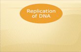 Replication of DNA.  The process of making a copy of DNA is called DNA REPLICATION.  Why does DNA need to be copied???  DNA contains all the information.