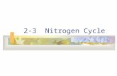 2-3 Nitrogen Cycle. Nitrogen Cycle Nitrogen – production of proteins and nucleic acids 79% of atmosphere – N 2 gas Most plants and animals cannot capture.