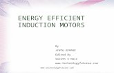 Www.technologyfuturae.com ENERGY EFFICIENT INDUCTION MOTORS By JINTU GEORGE Edited By Sarath S Nair .