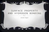 SURFACE PROPERTY AND HYDROGEN BONDING Amber Sager.