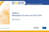 EGEE-II INFSO-RI-031688 Enabling Grids for E-sciencE  AMGA Metadata Access on the Grid Mike Mineter.