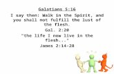 Galatians 5:16 I say then: Walk in the Spirit, and you shall not fulfill the lust of the flesh. Gal. 2:20 "the life I now live in the flesh..." James 2:14-28.