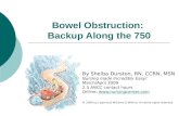 Bowel Obstruction: Backup Along the 750 By Shelba Durston, RN, CCRN, MSN Nursing made Incredibly Easy! March/April 2009 2.5 ANCC contact hours Online: