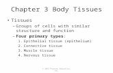 © 2015 Pearson Education, Inc. Chapter 3 Body Tissues Tissues – Groups of cells with similar structure and function – Four primary types: 1.Epithelial.