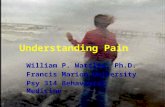 1 Understanding Pain William P. Wattles, Ph.D. Francis Marion University Psy 314 Behavioral Medicine.