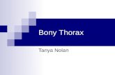 Bony Thorax Tanya Nolan. Bony Thorax Sternum 12 Ribs 12 Thoracic Vertebrae Function  Supports walls of pleural cavity & diaphragm  Volume of cavity.
