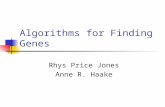 Algorithms for Finding Genes Rhys Price Jones Anne R. Haake.