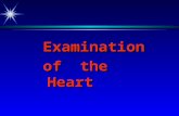 Examination of the Heart. Examination of the Heart In the present era of technological advances, particularly in the various imaging modalities, there.