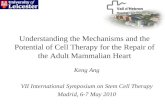 Understanding the Mechanisms and the Potential of Cell Therapy for the Repair of the Adult Mammalian Heart Keng Ang VII International Symposium on Stem.