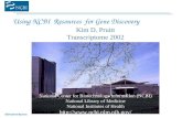 NCBI Genome Resources Using NCBI Resources for Gene Discovery Kim D. Pruitt Transcriptome 2002 National Center for Biotechnology Information (NCBI) National.