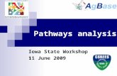 Pathways analysis Iowa State Workshop 11 June 2009.