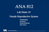 Anatomy & Neurobiology ANA 812 Lab Demo 19 Female Reproductive System Wendi Darag Joe Davis Daniel Hackman Joey Owen.